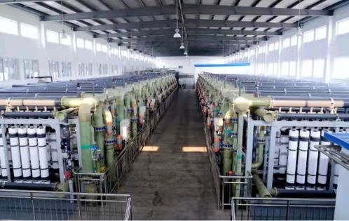 世界水日∣北控水務(wù)用實(shí)際行動(dòng)應(yīng)對(duì)水資源挑戰(zhàn) 聚焦污水處理及其再生利用