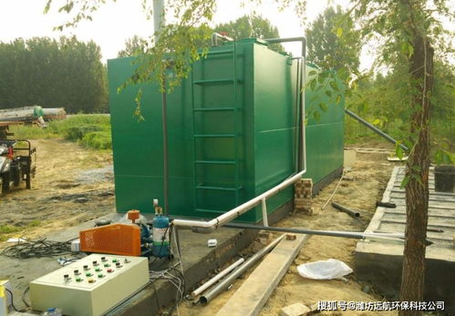 屠宰廢水處理設(shè)備的六個(gè)處理單元流程及其在污水處理與再生利用中的應(yīng)用