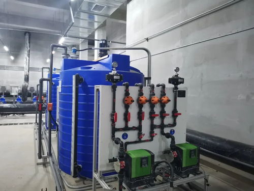 藏于芳草之下 探秘宜昌的生態(tài)型污水處理廠