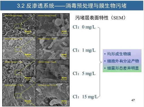 水征分析與污水再生處理工藝診斷優(yōu)化方法——胡洪營(yíng)教授專題分享